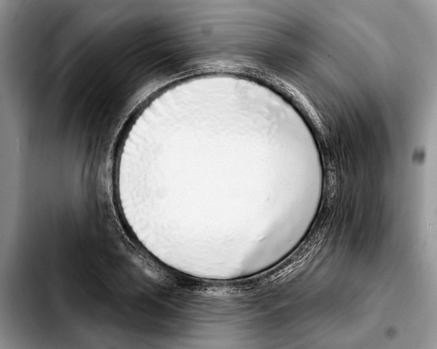X0000103441035200810101101
