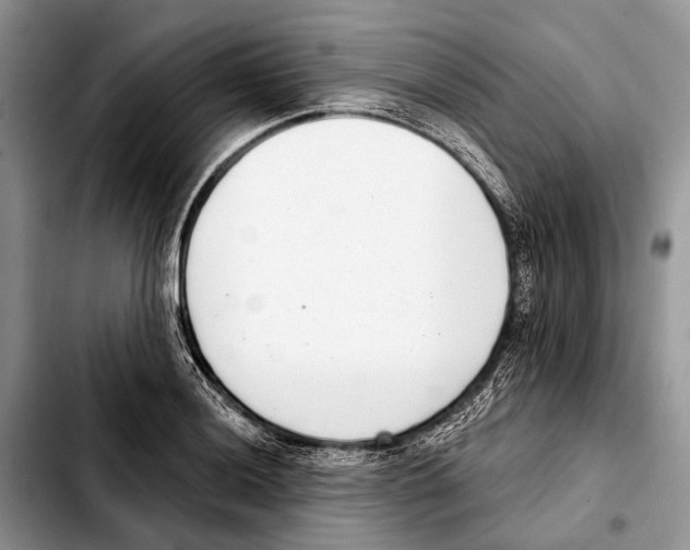 X0000103441036200810101101
