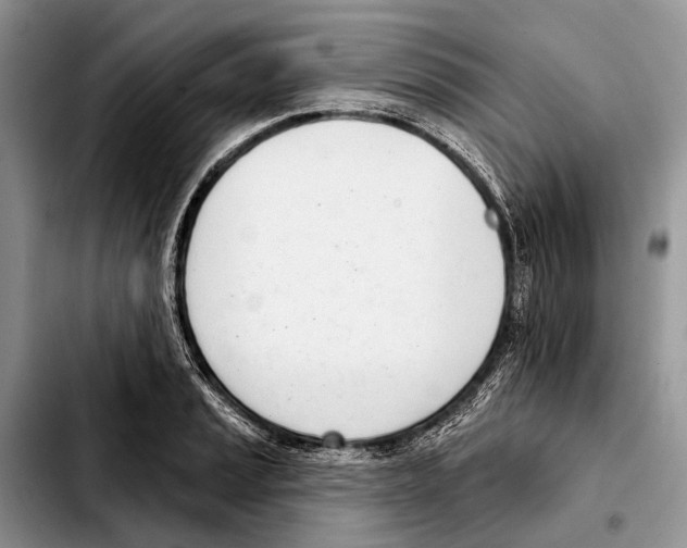 X0000103441037200810101101
