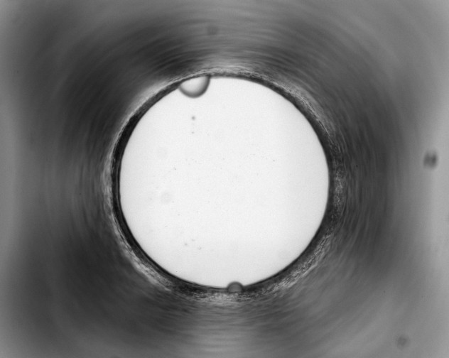 X0000103441038200810101101