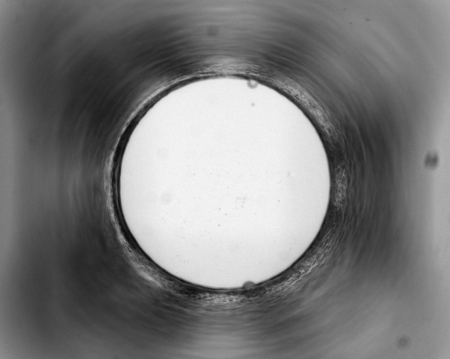 X0000103441039200810101101