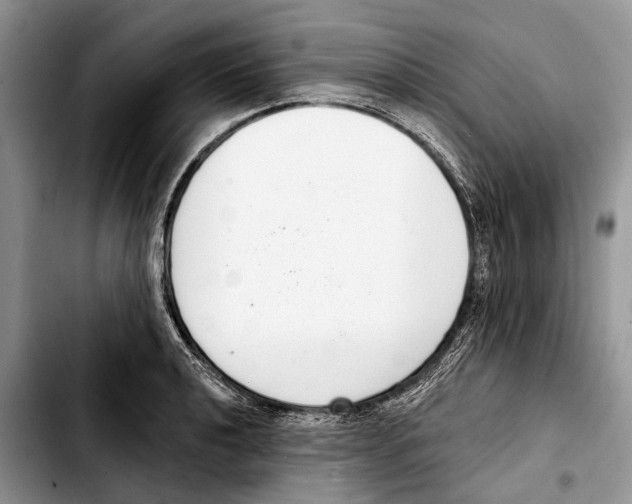 X0000103441040200810101101