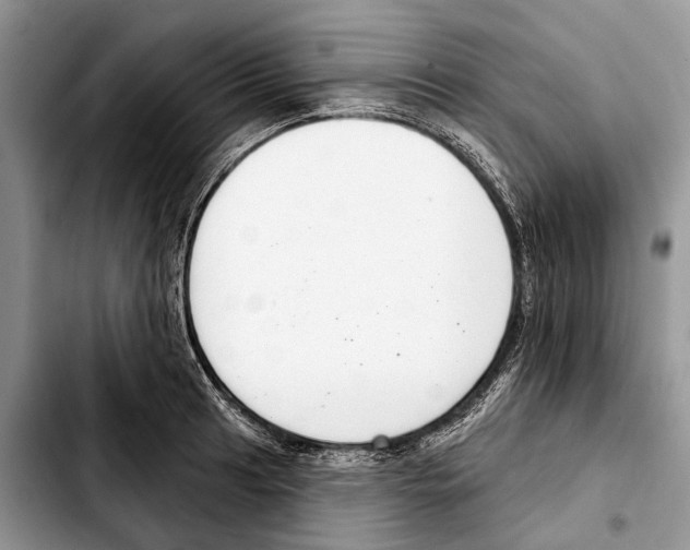 X0000103441041200810101101