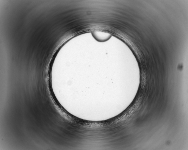 X0000103441042200810101101
