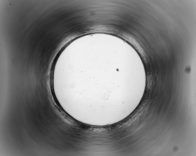 X0000103441043200810101101