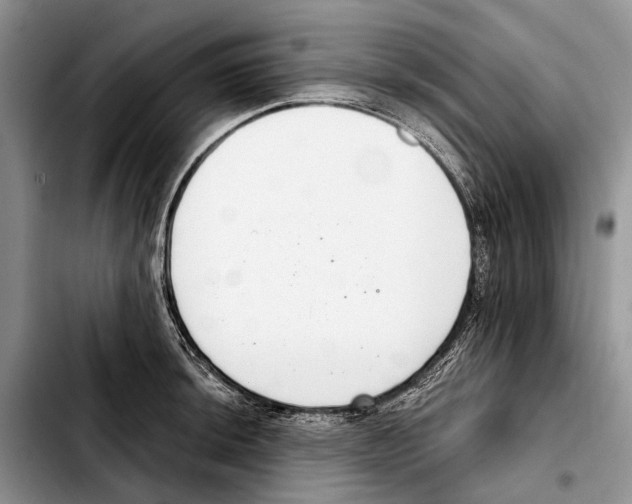 X0000103441044200810101101