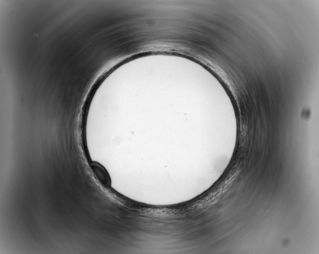 X0000103441045200810101101