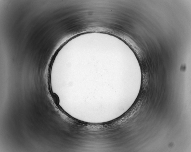 X0000103441046200810101101