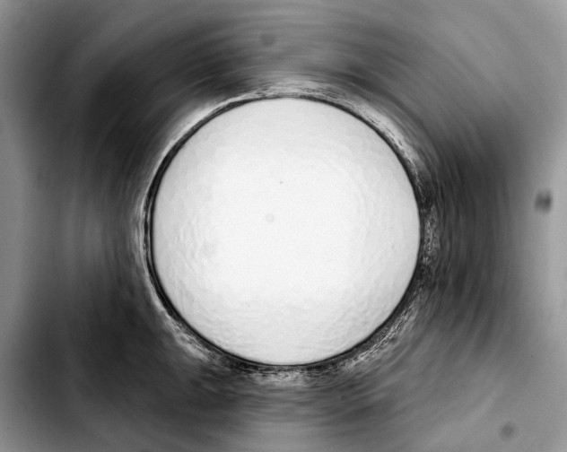 X0000103441047200810101101
