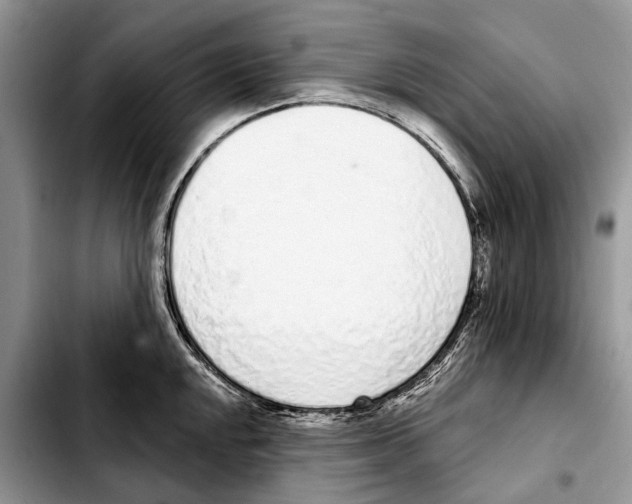 X0000103441048200810101101