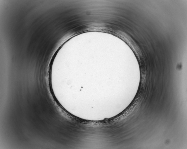 X0000103441050200810101101