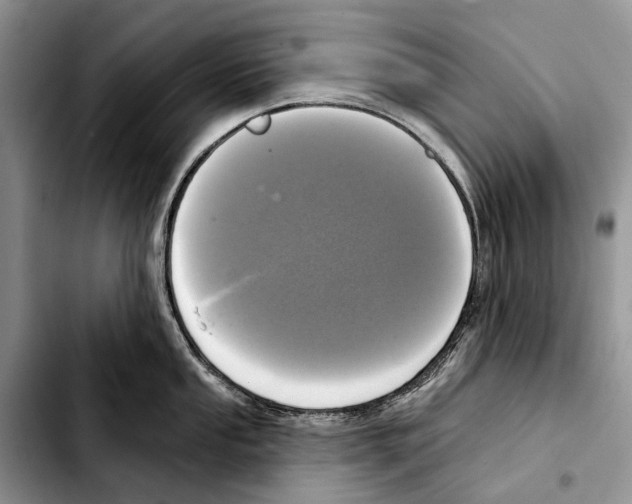 X0000103441053200810101101