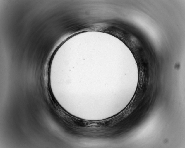 X0000103441054200810101101