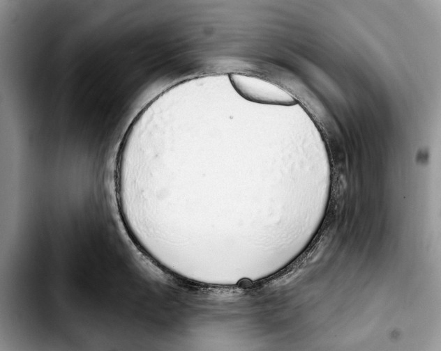 X0000103441055200810101101