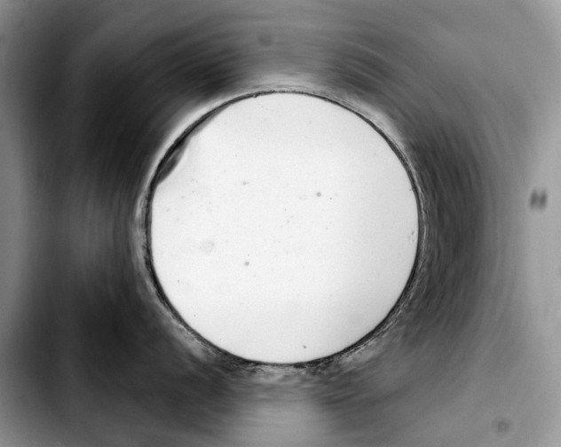 X0000103441056200810101101