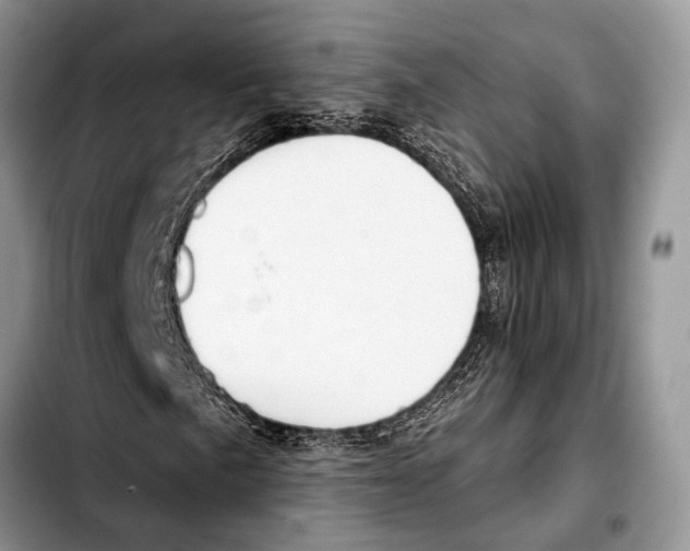 X0000103441057200810101100