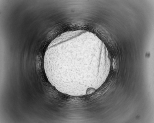 X0000103441059200810101100