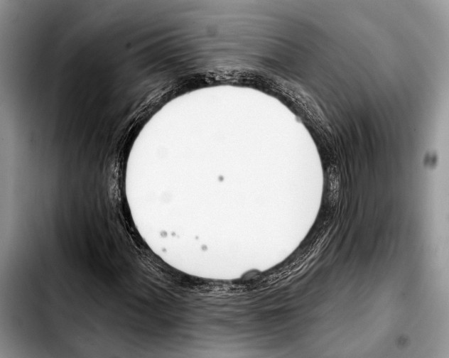 X0000103441060200810101100