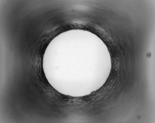 X0000103441061200810101100