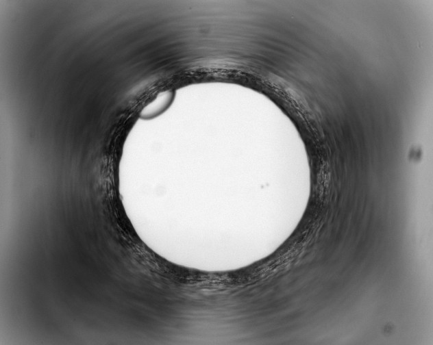 X0000103441062200810101100