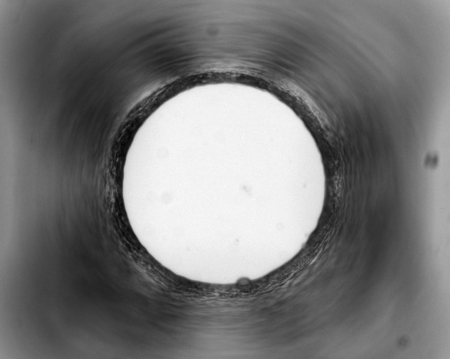 X0000103441064200810101100