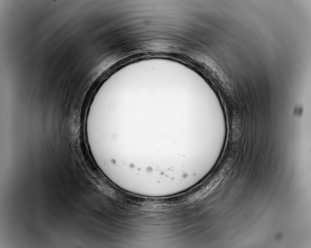 X0000103441065200810101100