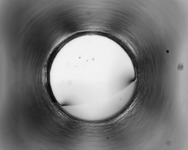 X0000103441069200810101100
