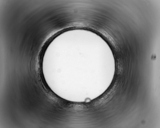 X0000103441070200810101100