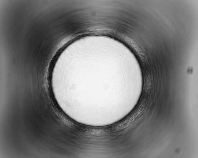 X0000103441071200810101100