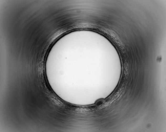 X0000103441073200810101100