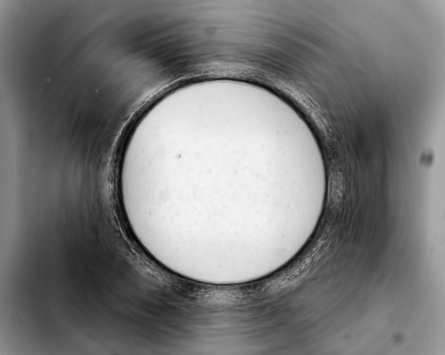 X0000103441074200810101100