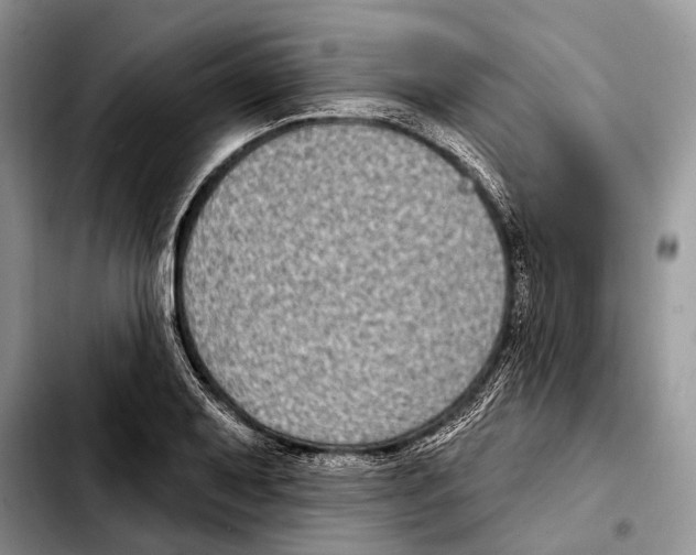 X0000103441079200810101100