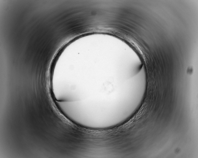 X0000103441080200810101100