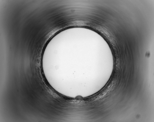 X0000103441081200810101100