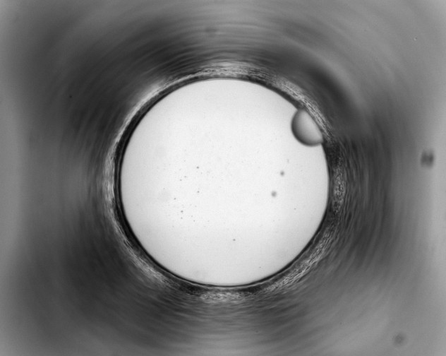 X0000103441083200810101100