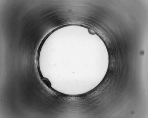 X0000103441084200810101100