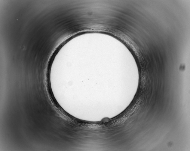 X0000103441085200810101100