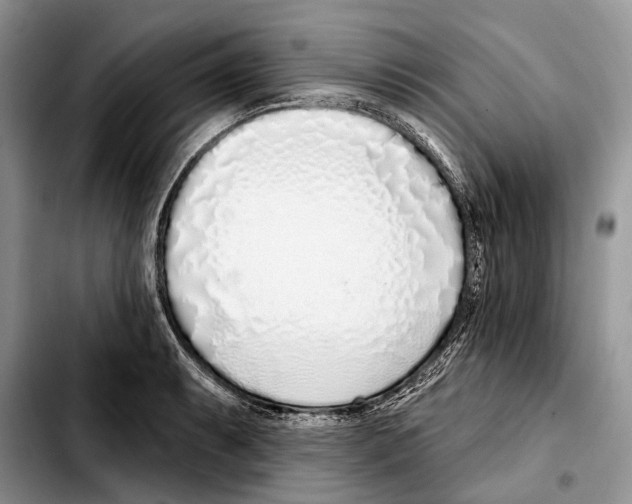 X0000103441087200810101100
