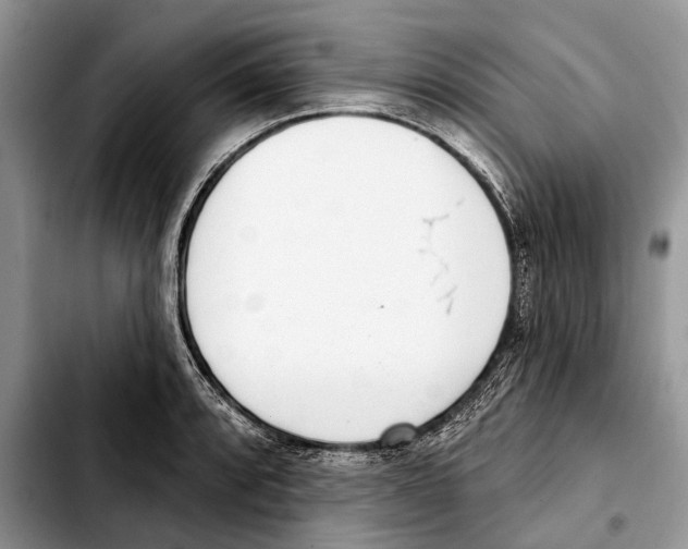 X0000103441088200810101100
