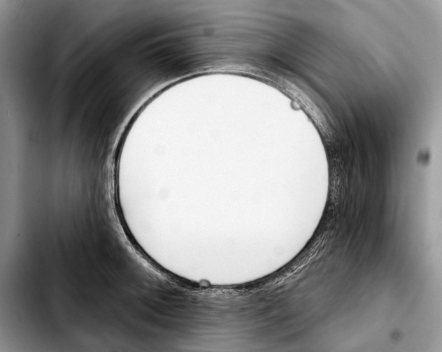 X0000103441092200810101100