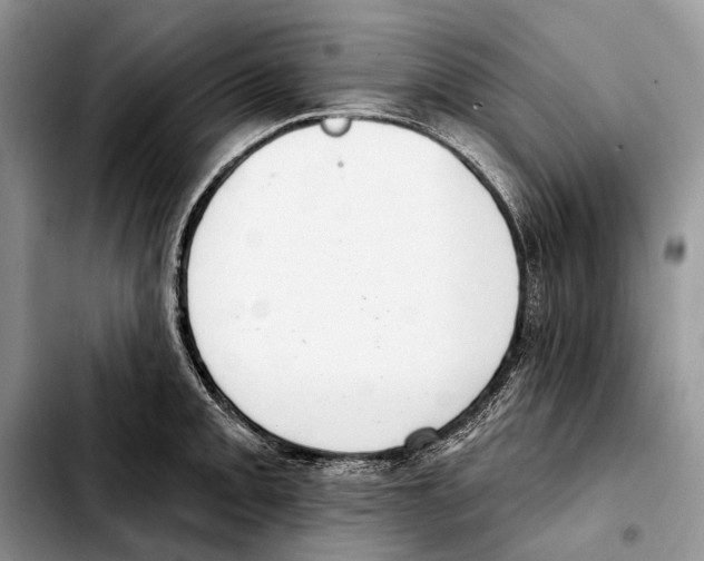 X0000103441093200810101100