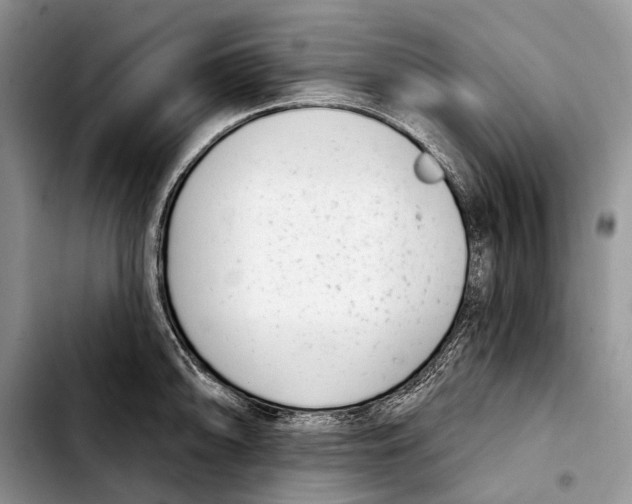 X0000103441094200810101100