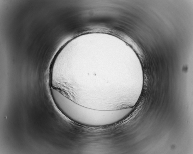 X0000103441095200810101100