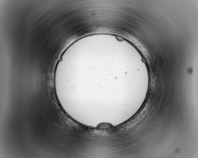 X0000103441097200810101100