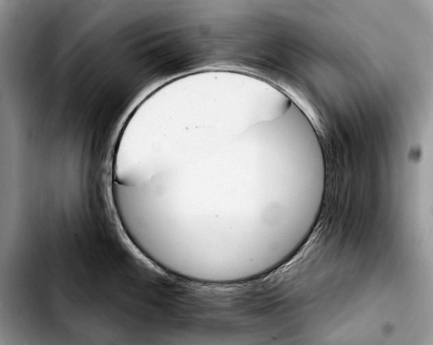 X0000103441100200810101100