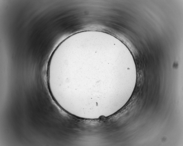 X0000103441103200810101100