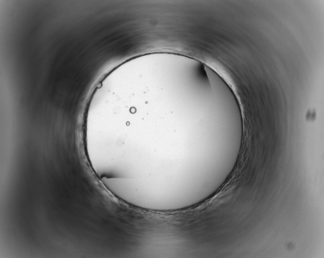 X0000103441104200810101100
