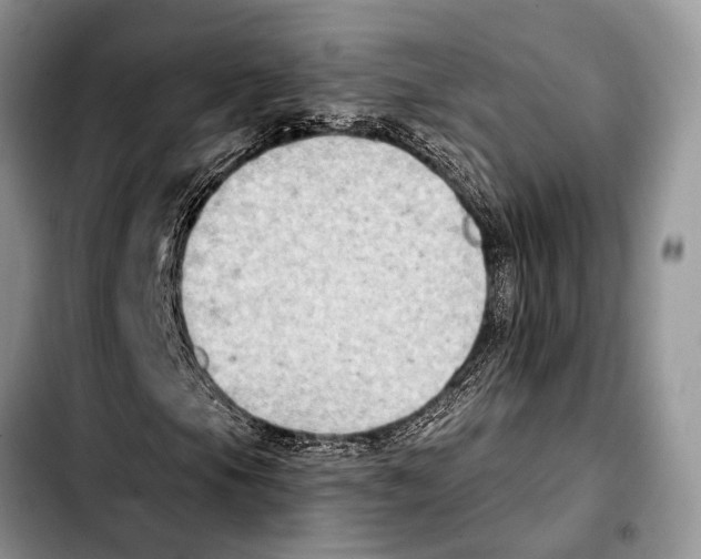 X0000103441105200810101059