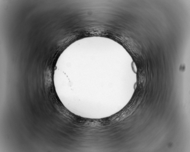 X0000103441106200810101059