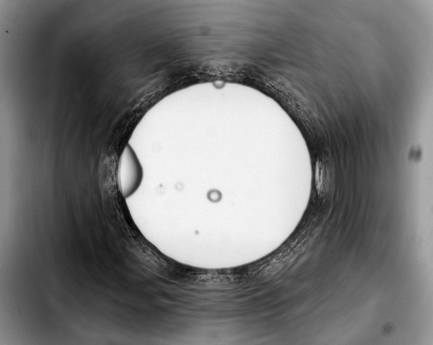 X0000103441107200810101059